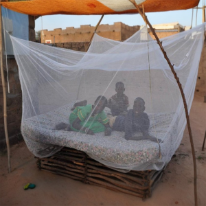 Malaria Bed Nets